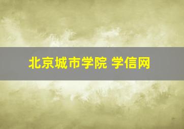 北京城市学院 学信网